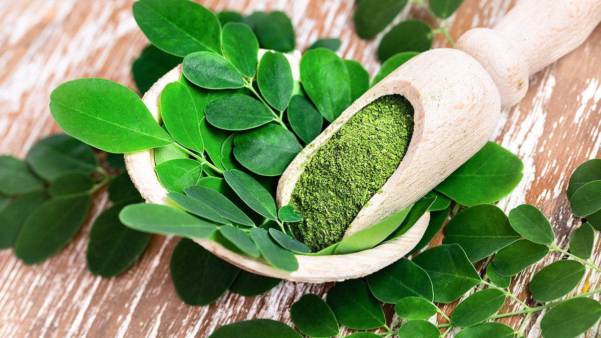 Manfaat daun kelor untuk kesehatan