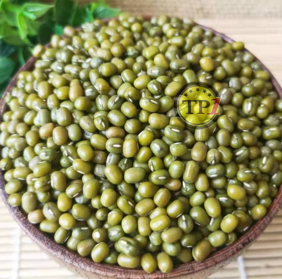 Kacang Hijau Large Green Mung Beans Kualitas Super Import