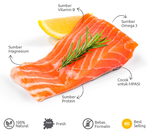 salmon fillet premium